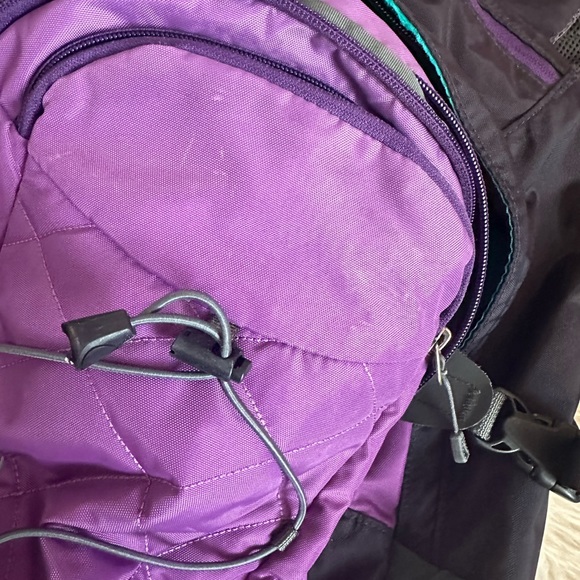 Women’s Purple Patagonia Backpack - Picture 16 of 16